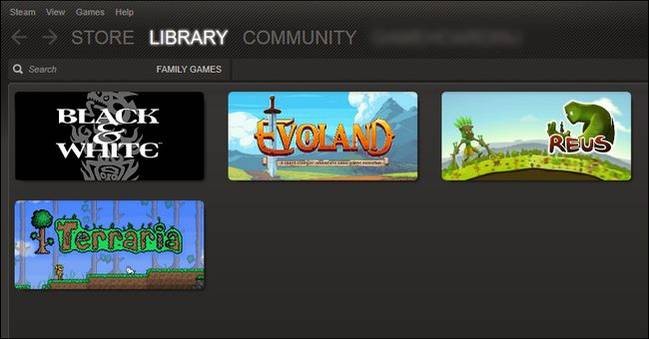 how-to-enable-family-options-aka-parental-controls-in-your-steam-client-7.jpg