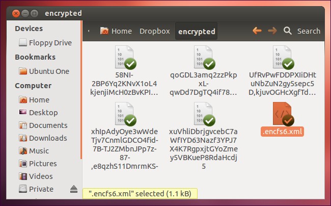 how-to-encrypt-cloud-storage-on-linux-and-windows-with-encfs-6.jpg