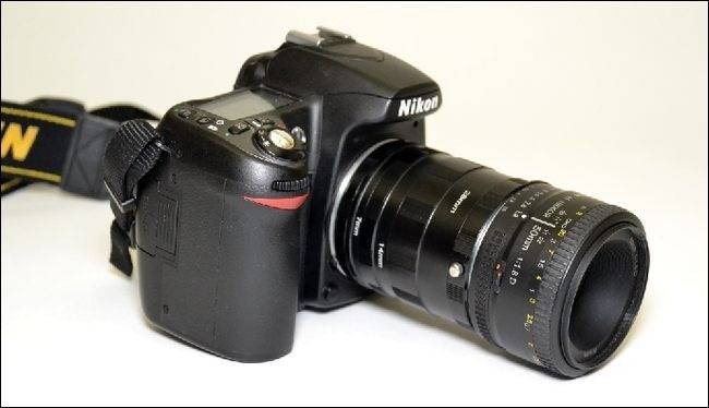 how-to-enjoy-macro-photography-on-the-cheap-10.jpg