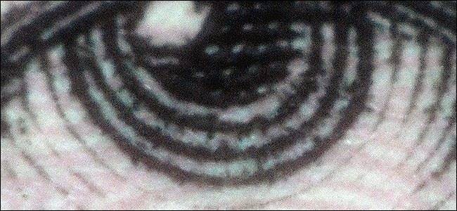 how-to-enjoy-macro-photography-on-the-cheap-12.jpg