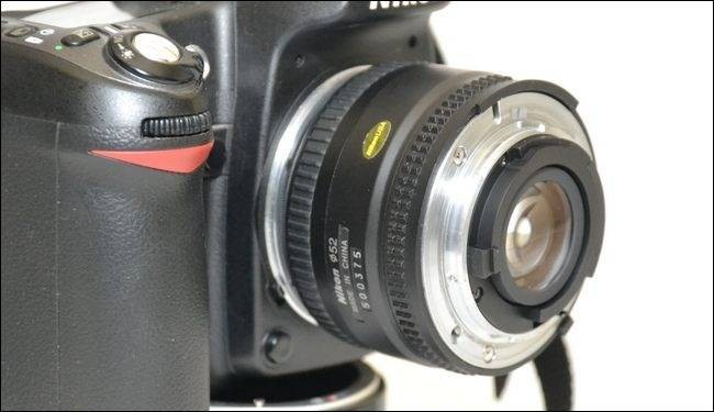 how-to-enjoy-macro-photography-on-the-cheap-5.jpg