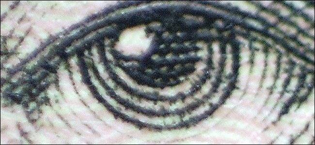 how-to-enjoy-macro-photography-on-the-cheap-9.jpg