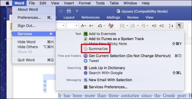 how-to-get-a-one-click-summary-of-long-winded-documents-on-macos-3.jpg