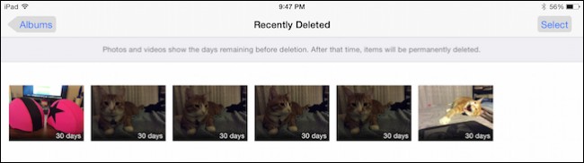 how-to-hide-recover-and-permanently-delete-items-in-apple-photos-2.jpg