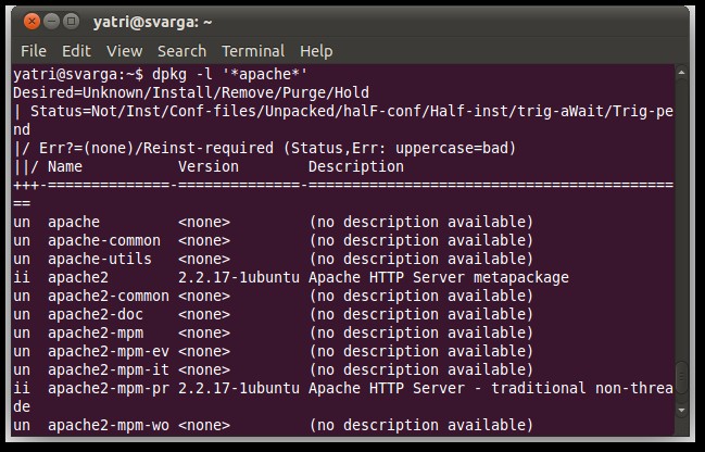 how-to-install-programs-in-ubuntu-in-the-command-line-8.jpg