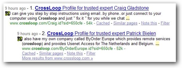 how-to-make-money-from-home-using-your-tech-skills-with-crossloop-marketplace-8.jpg
