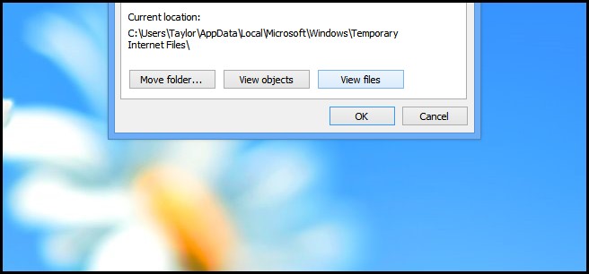 how-to-modify-caching-behavior-in-internet-explorer-10-8.jpg