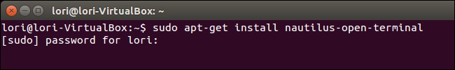 how-to-open-terminal-to-a-specific-folder-in-ubuntus-file-browser-1.jpg
