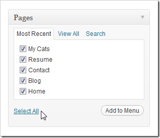how-to-own-your-own-website-even-if-you-cant-build-one-pt-2-23.jpg