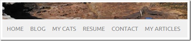 how-to-own-your-own-website-even-if-you-cant-build-one-pt-2-29.jpg