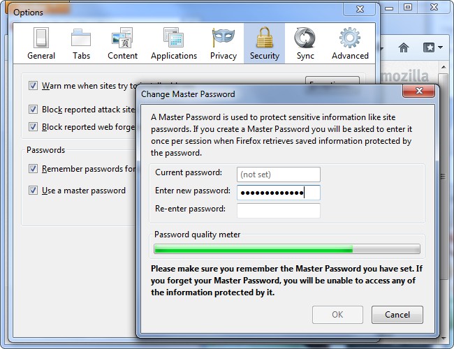 how-to-prevent-people-from-viewing-your-browsers-saved-passwords-5.jpg