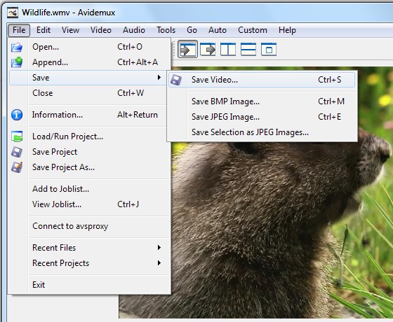how-to-quickly-edit-combine-transcode-apply-filters-to-videos-with-avidemux-10.jpg