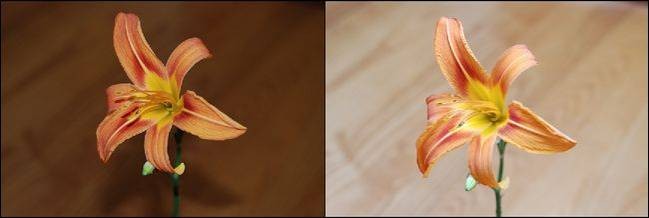how-to-radically-improve-your-photos-with-a-flash-diffuser-1.jpg