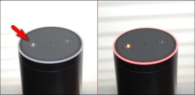 how-to-stop-your-amazon-echo-from-listening-in-1.jpg