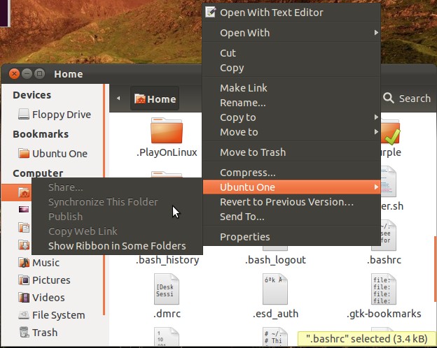 how-to-synchronize-your-configuration-files-with-ubuntu-one-11.jpg