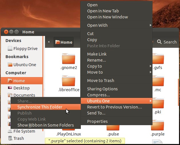 how-to-synchronize-your-configuration-files-with-ubuntu-one-5.jpg