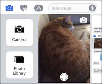 how-to-take-and-attach-photos-in-imessage-3.jpg