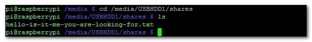 how-to-turn-a-raspberry-pi-into-a-low-power-network-storage-device-8.jpg