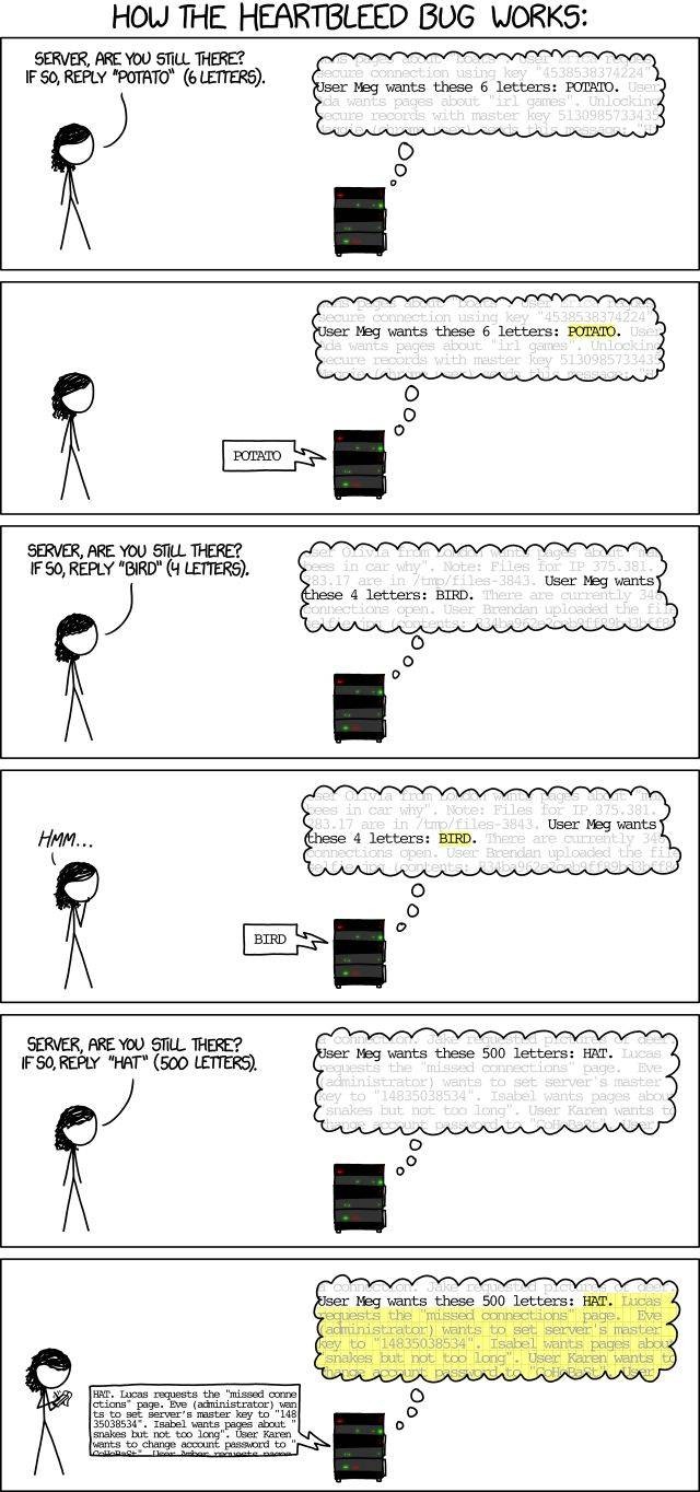 htg-explains-what-the-heartbleed-bug-is-and-why-you-need-to-change-your-passwords-now-1.jpg