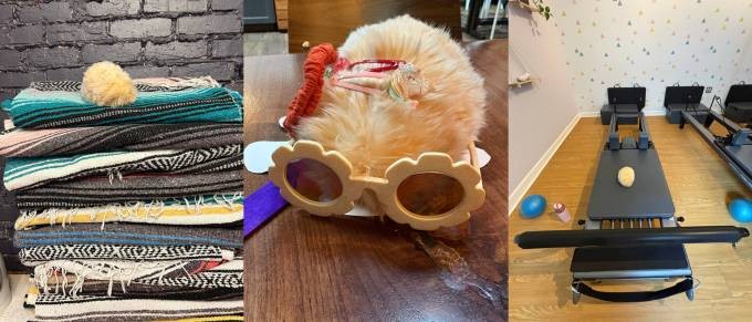 i spent a month living with a $430 ai pet, the casio moflin