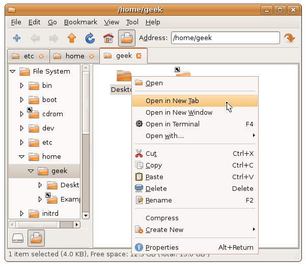 install-tabbed-file-manager-in-ubuntu-2.jpg