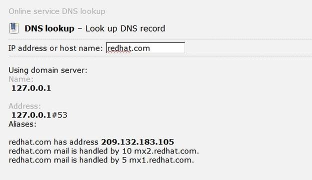 is-there-a-difference-between-name-server-and-domain-name-search-results-1.jpg