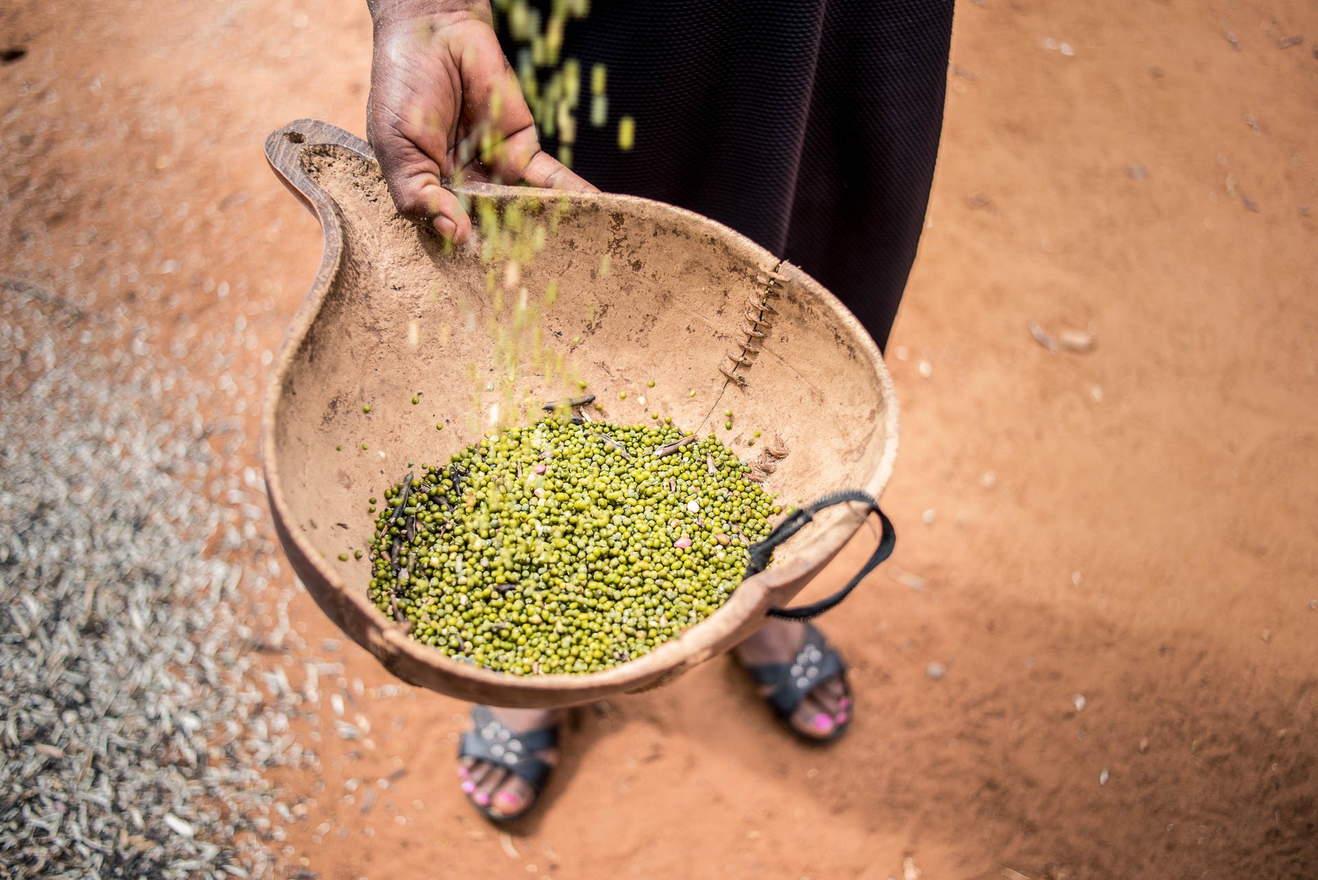 kenyan insurtech startup pula raises $6m series a to derisk smallholder farmers across africa