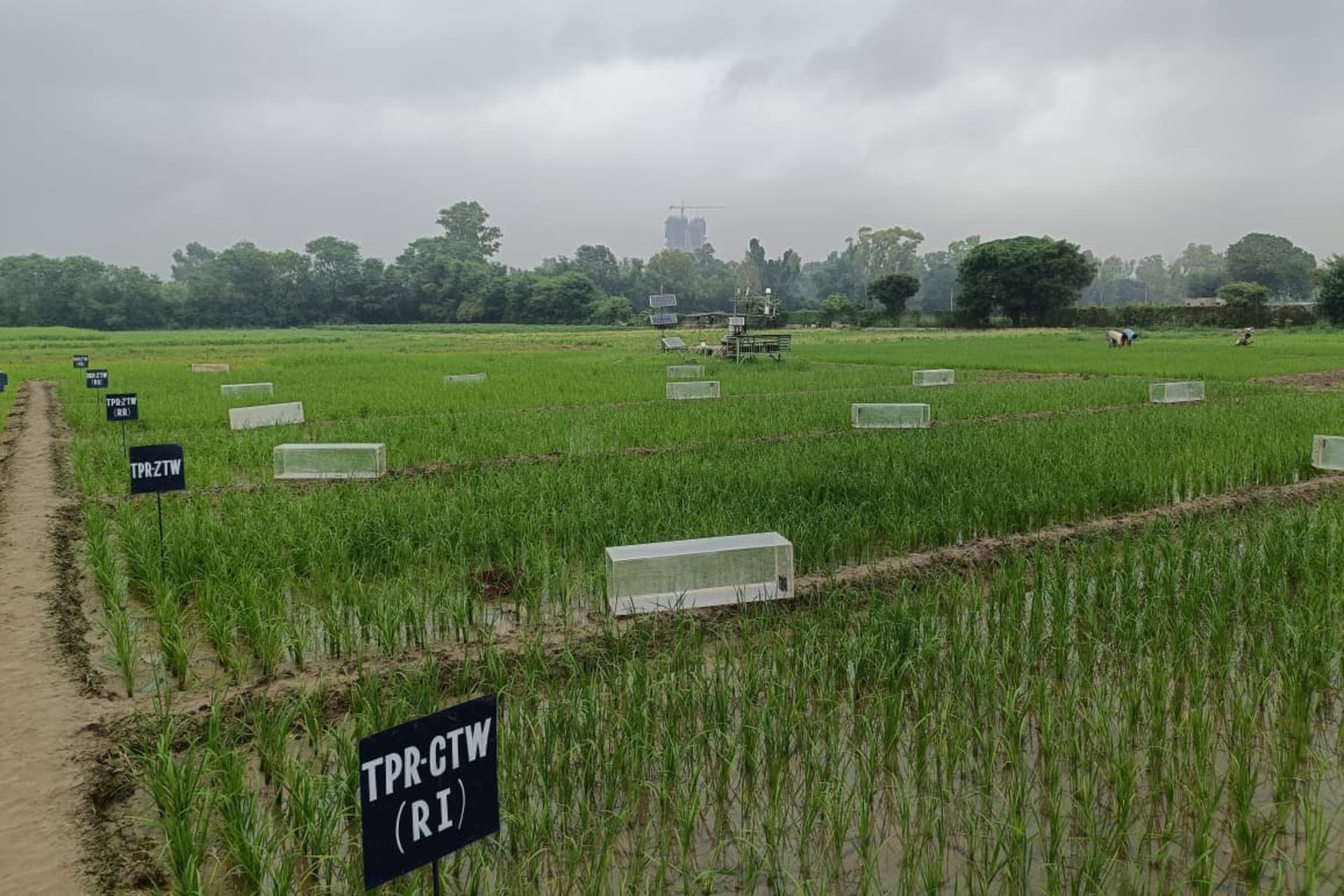kering-backed fund mirova pours $30.5m into india’s varaha for regenerative farming