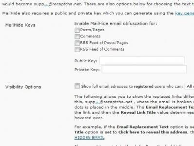 kill-spam-comments-good-recaptcha-5.jpg