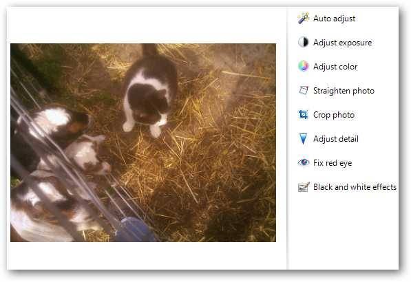 learning-windows-7-manage-photos-with-live-photo-gallery-14.jpg
