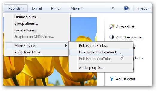 learning-windows-7-manage-photos-with-live-photo-gallery-16.jpg