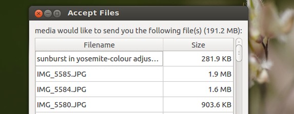 nitroshare-easily-share-files-network-multiple-operating-systems-5.jpg