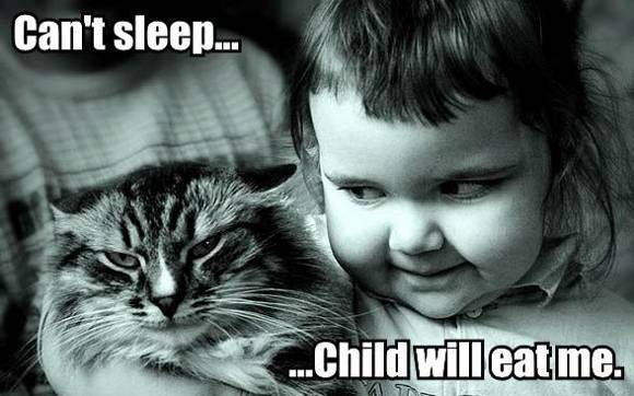 overview-internet-memes-quickly-create-2.jpg