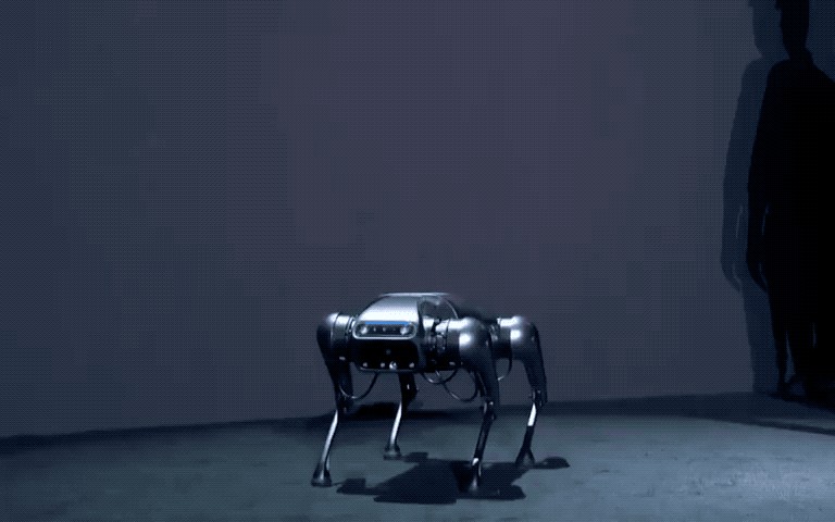 peer into the eyes of cyberdog