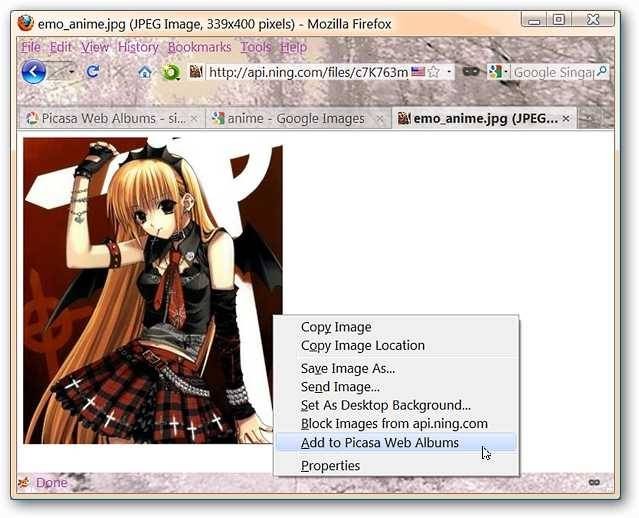 quickly-save-photos-to-your-picasa-web-albums-with-addtopicasa-1.jpg