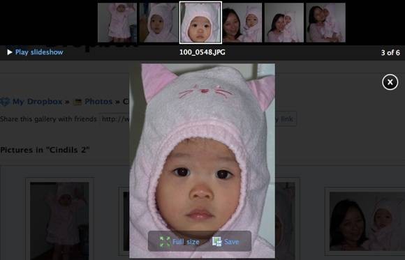 quickly-set-share-beautiful-photo-galleries-dropbox-7.jpg