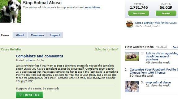 raise-funds-support-matters-facebook-6.jpg