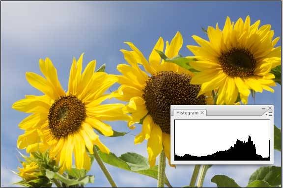 read-cameras-histogram-perfectly-balanced-images-4.jpg