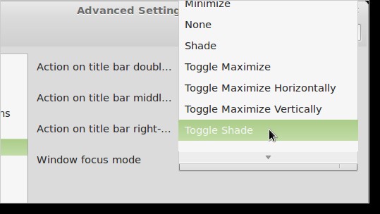 roll-up-a-window-in-linux-mint-12-4.jpg