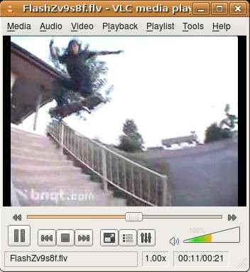 saving-flash-videos-in-linux-2.jpg