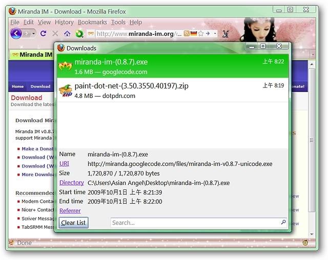 see-more-information-about-your-downloads-in-firefox-1.jpg