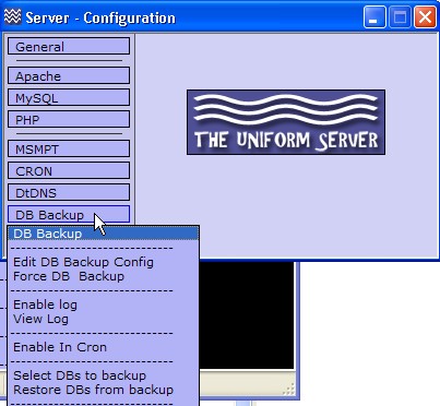 set-lightweight-windows-web-server-quickly-uniform-server-8.jpg