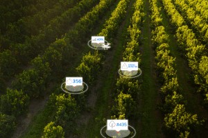 south african startup aerobotics raises $17m to scale its ai-for-agriculture platform