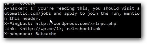 stupid-geek-tricks-find-hidden-messages-in-web-site-headers-2.jpg