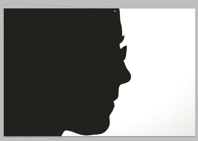 stupid-photoshop-tricks-create-an-optical-illusion-double-portrait-9.jpg