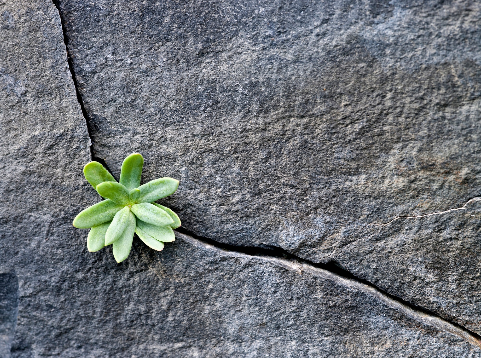 techcrunch+ roundup: slashing technical debt, ipo analysis, your first comms hire