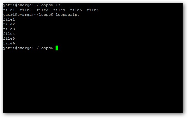 the-beginners-guide-to-shell-scripting-2-for-loops-5.jpg