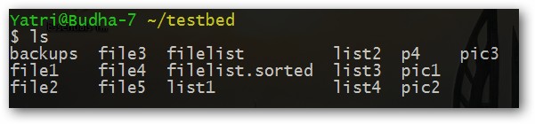 the-beginners-guide-to-shell-scripting-3-more-basic-commands-chains-18.jpg