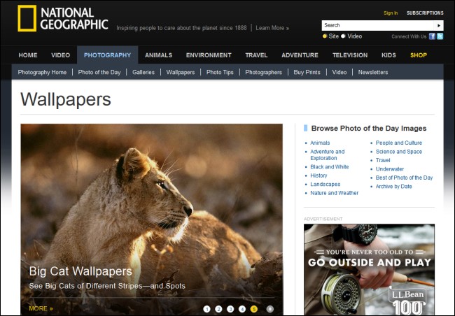 the-best-websites-for-downloading-cool-wallpapers-8.jpg