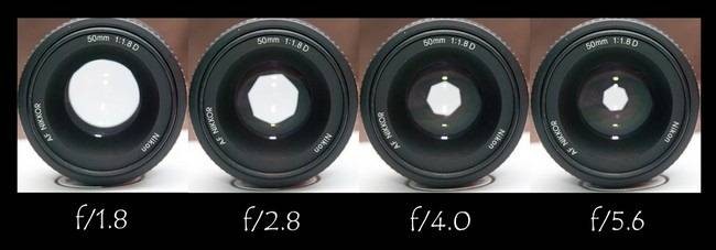 the-how-to-geek-guide-to-custom-photo-bokeh-2.jpg